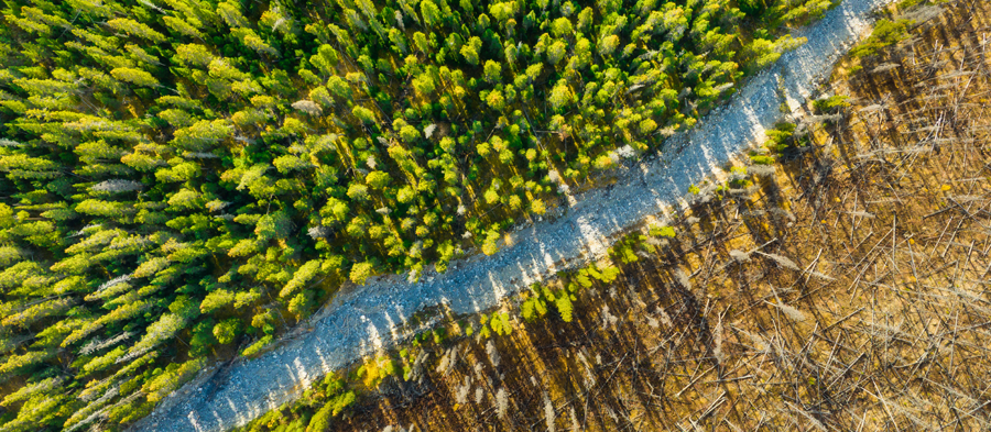 Le changement climatique et notre travail
