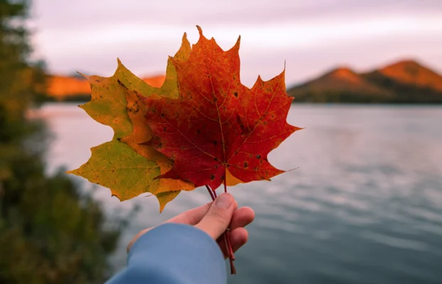 Joyeuse Fête du Canada