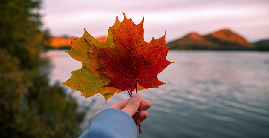 Joyeuse Fête du Canada