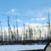 Wildfire aftermath on the highway into Hay River | Suite des incendies de forêt sur l'autoroute vers Hay River