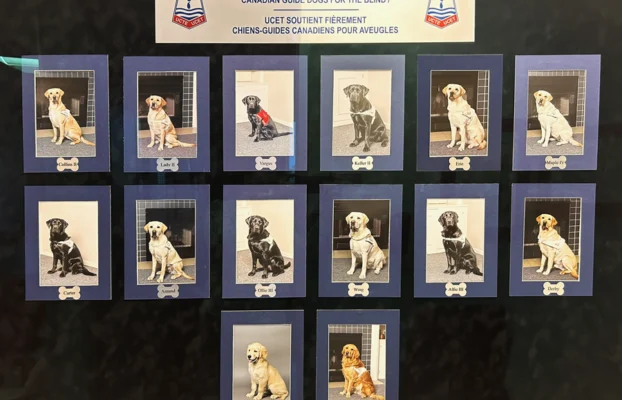Journée internationale du chien