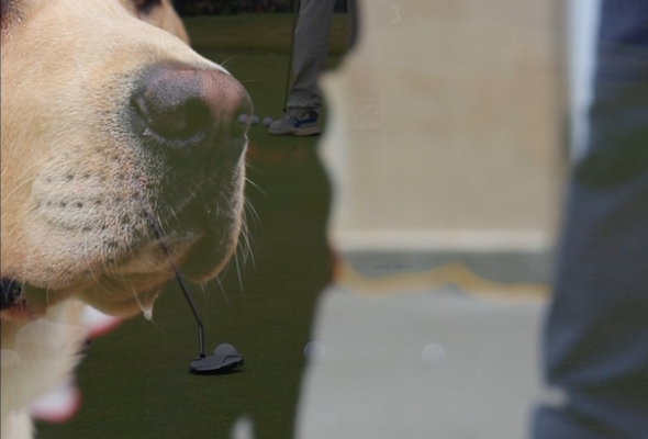 20th Mike Wing Golf Tournament – Another Success!